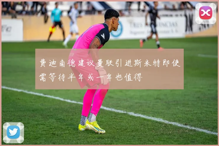 费迪南德建议曼联引进斯米特即使需等待半年或一年也值得